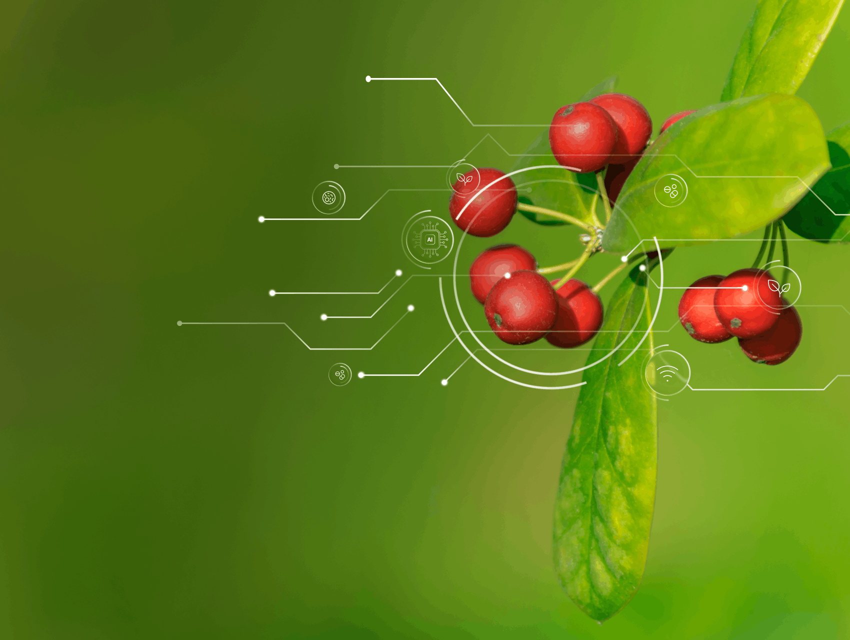 Default Trouble Image